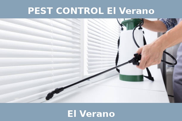 PEST CONTROL El Verano